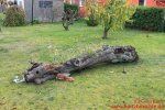 umgestürzter Baum mit Wetterstation